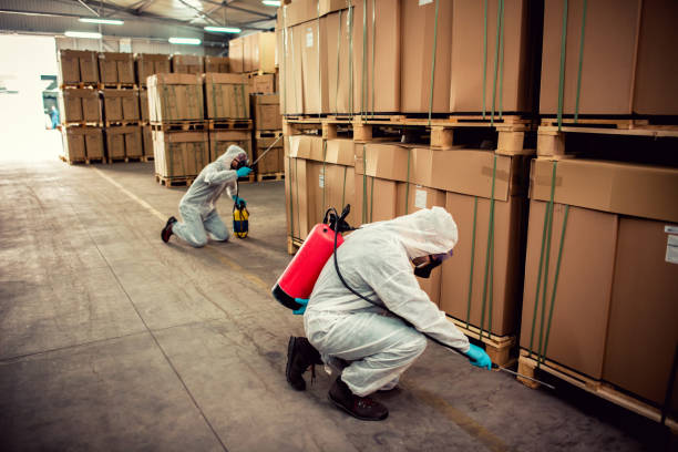 Best Pest Inspection Near Me  in New London, IA
