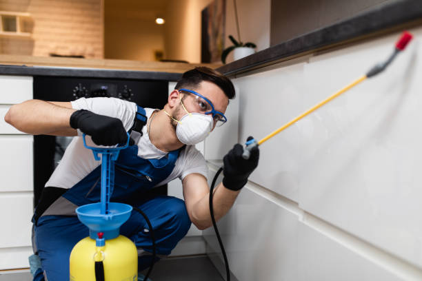Best Exterminator Services  in New London, IA