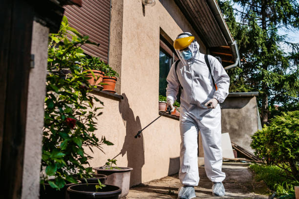 Professional Pest Control in New London, IA