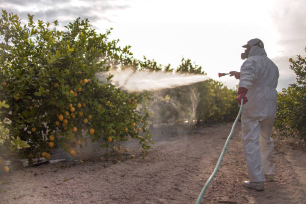 Wildlife Control Services in New London, IA