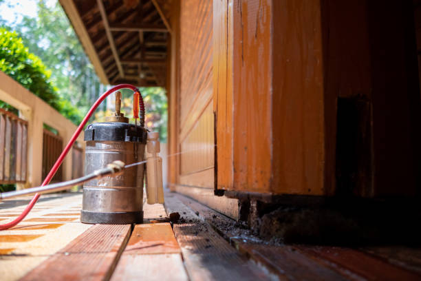 Pest Control for Restaurants in New London, IA